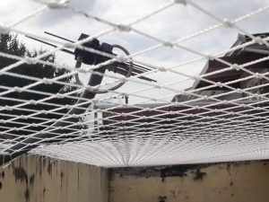 Evite acidentes domésticos com redes resistentes em Manaus