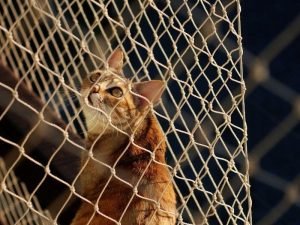 Janelas seguras com redes de proteção em Manaus