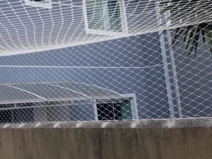 Redes de proteção recomendadas para pets em Manaus