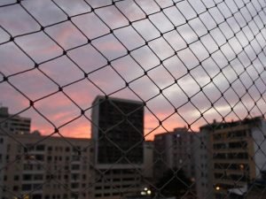 Casas com jardim vertical exigem redes em Manaus