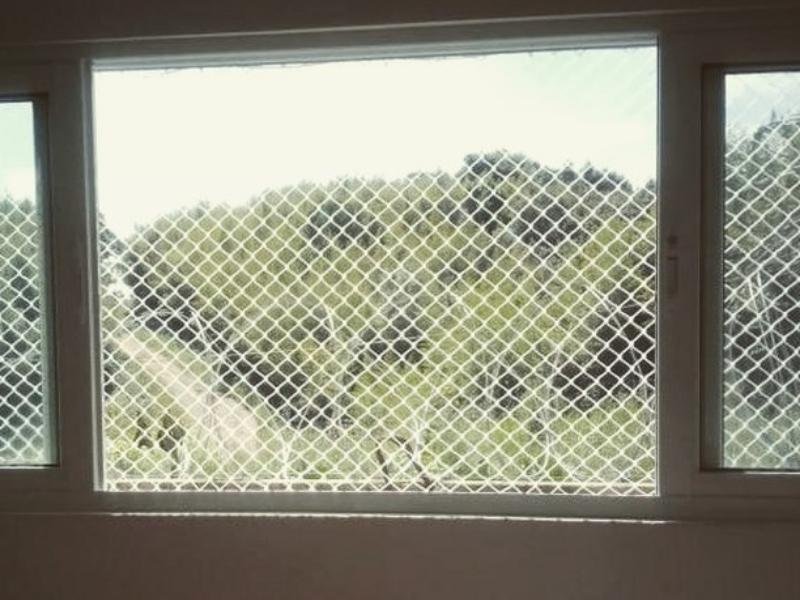 Garanta a segurança de animais com rede protetora em Iranduba