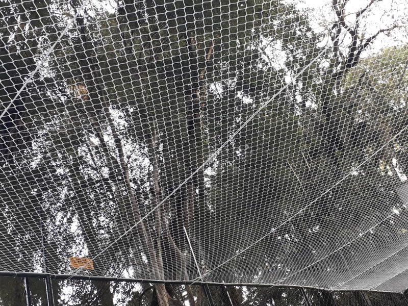 Telas de Proteção em Manaus Rede de Proteção Manaus